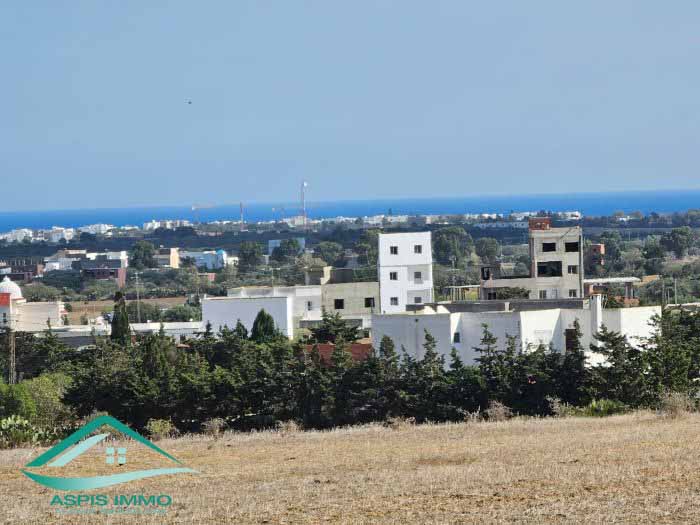 Hammam El Ghezaz Tamazrat Vente Surfaces Terrain agricole 5 980 m2  tamezrat kelibia