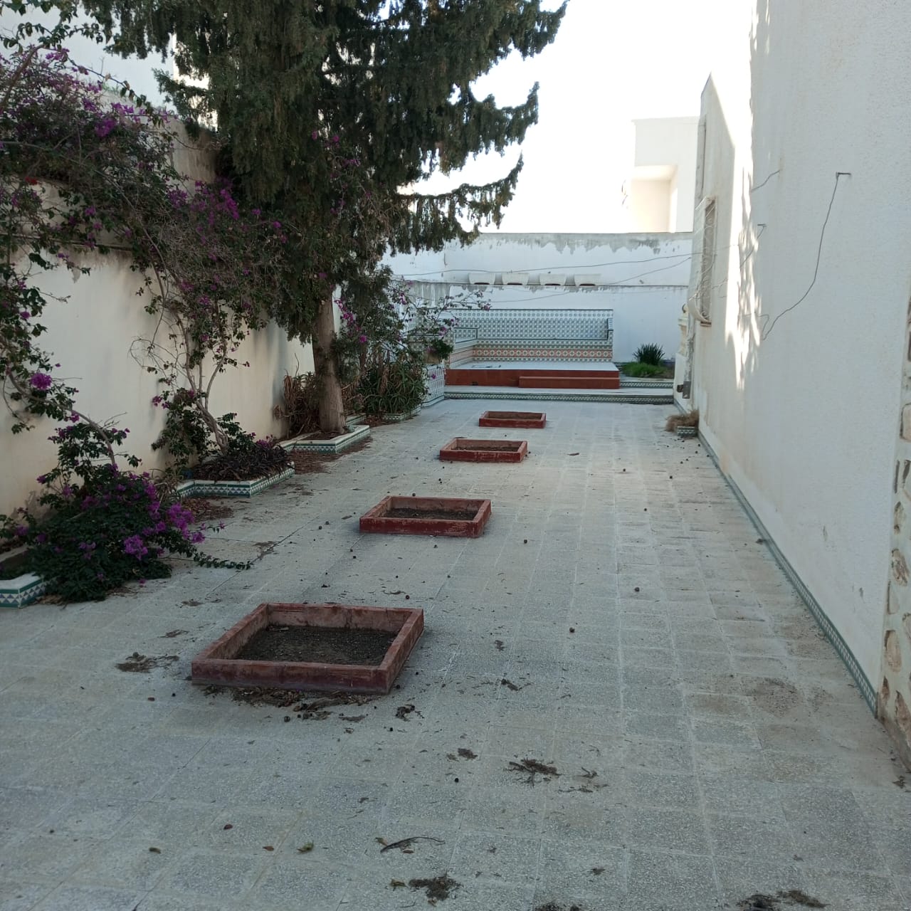 Sousse Jaouhara Sousse Ibn Khaldoun Vente Maisons Villa  rnover cit olympique sousse