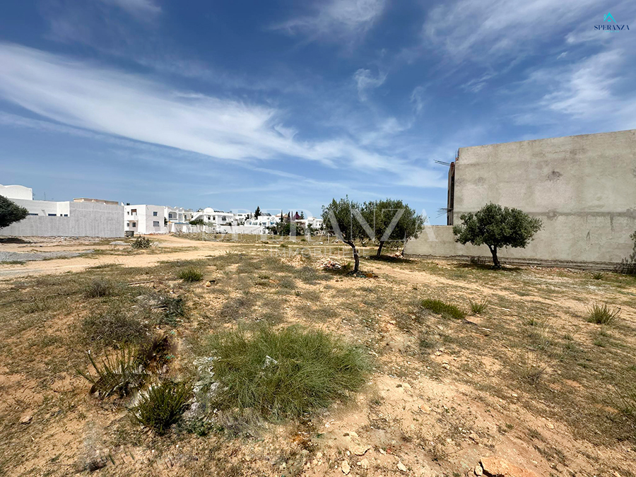 Vente Surfaces - Tunisie