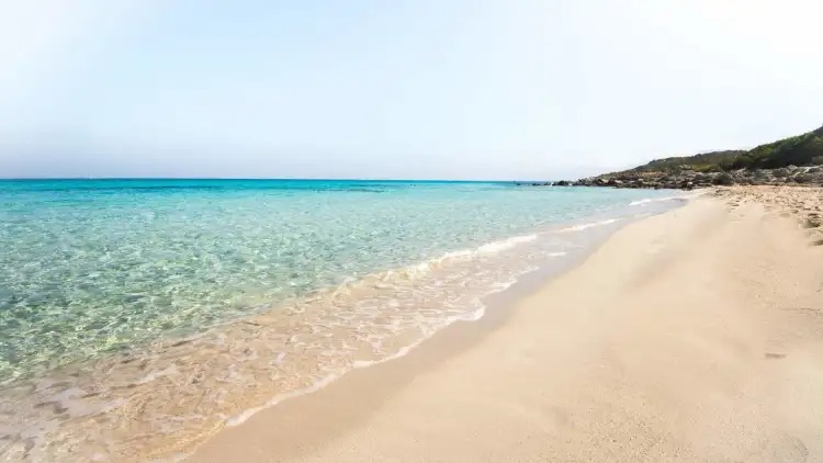 Vente Appart. 3 pices - Tunisie