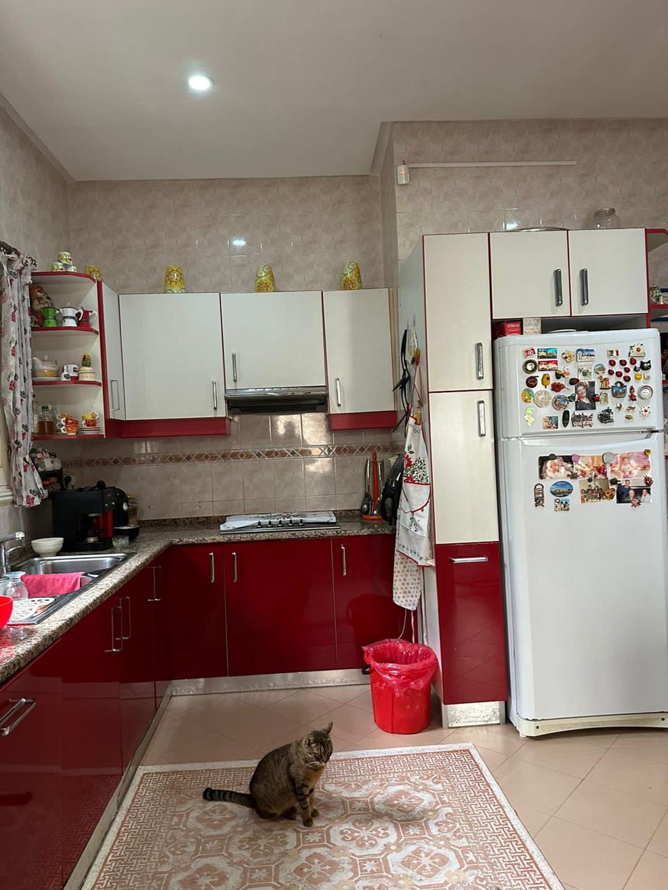 Ariana Ville Cite Ennasr 2 Vente Maisons Villa nasser 2 haut standing