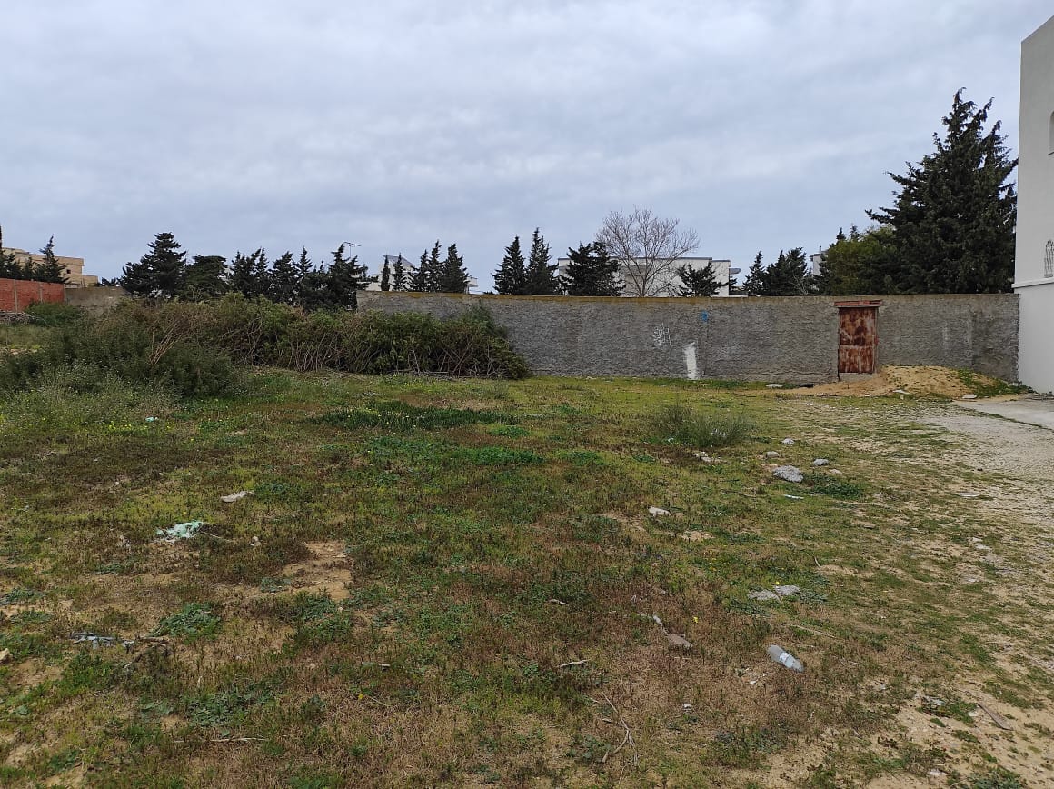 Bizerte Nord Cite El Korniche 1 Vente Autre Un terrain dans une quartier rsidentielle