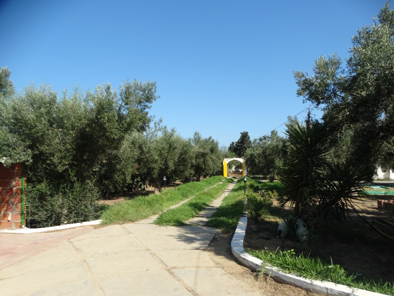 Vente Maisons - Tunisie