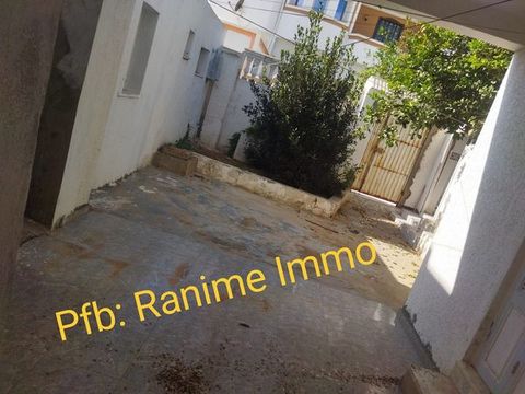 El Haouaria El Haouaria Vente Appart. 4 pices Maison arabi et studio dans 180m2 a el haouaria