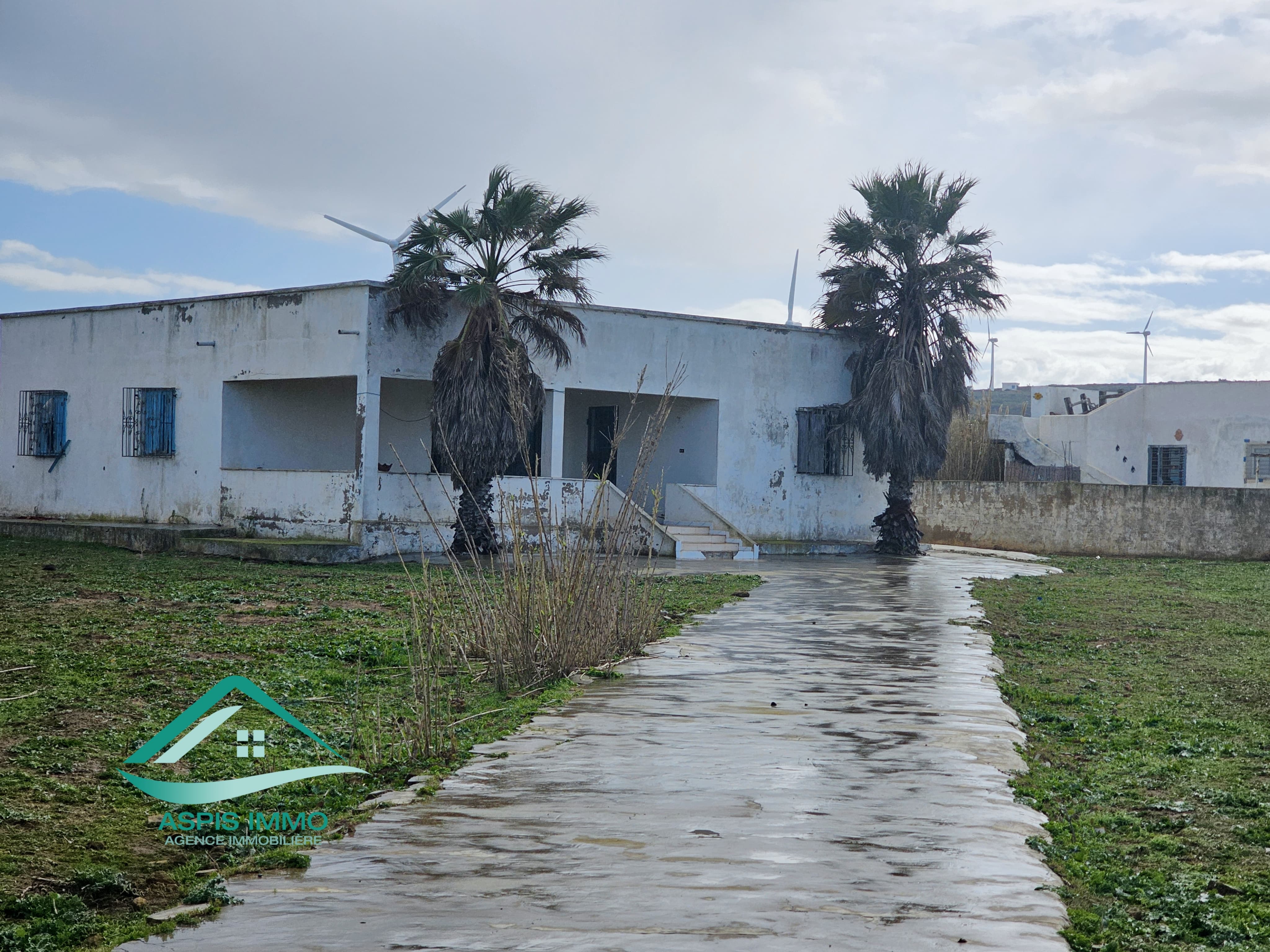 El Haouaria El Haouaria Vente Maisons Vt974maison 2200  m2  borj salhi hawaria