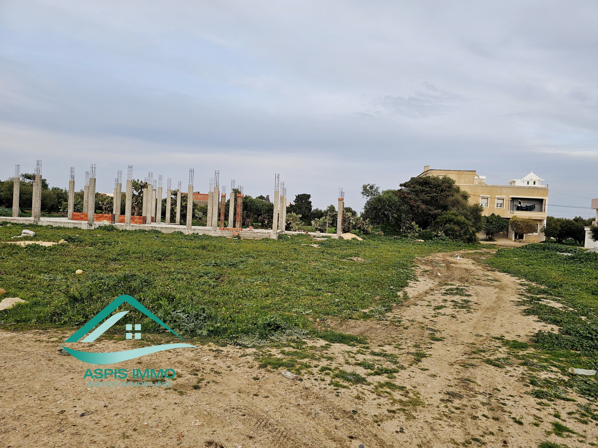 Kelibia Kelibia Vente Surfaces Terrain 261 m2  cit ksiba kelibia