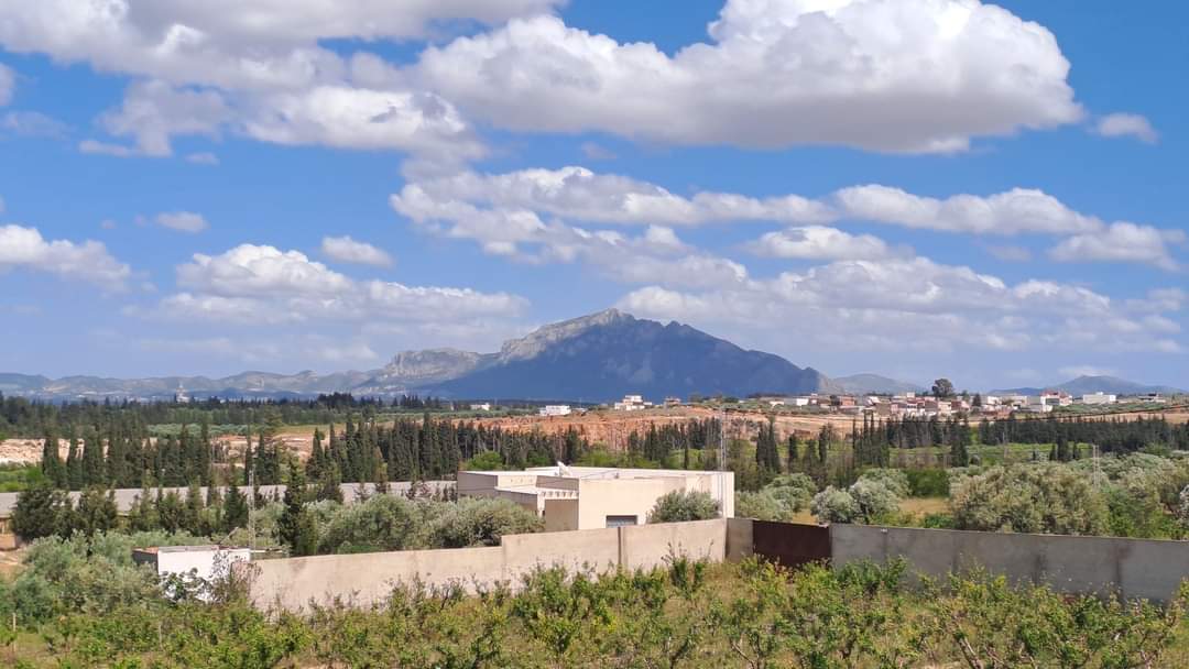 Vente Autre - Tunisie
