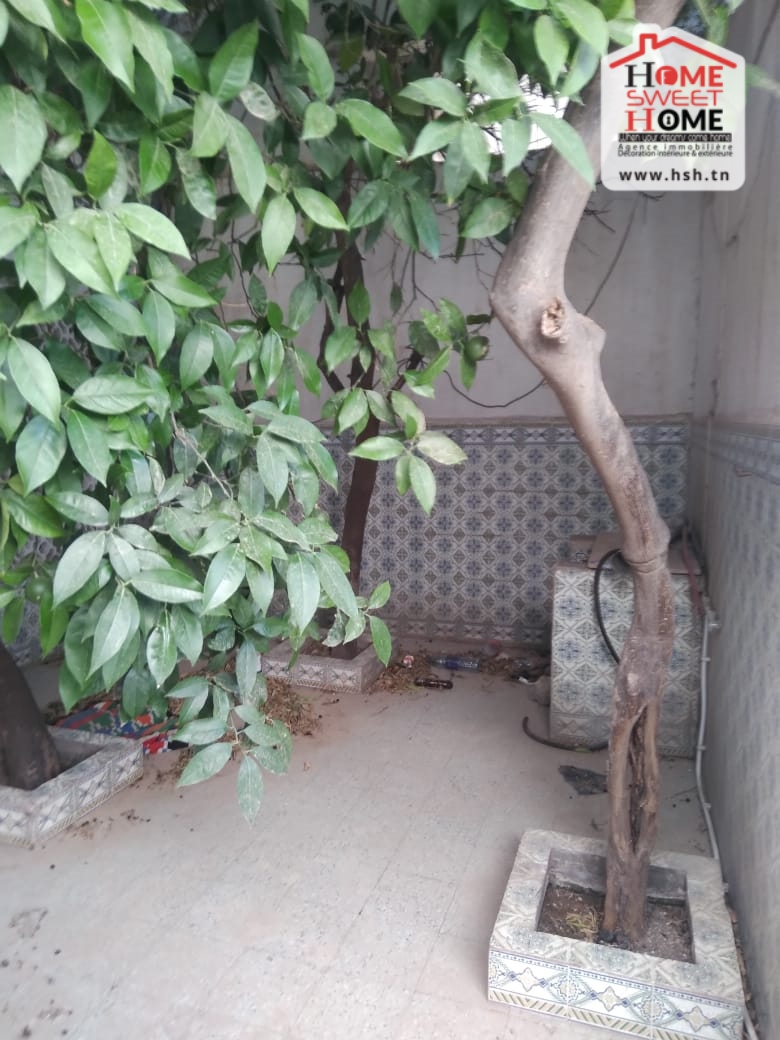 Le Bardo Le Bardo Vente Maisons Villa nayrouz  bardo