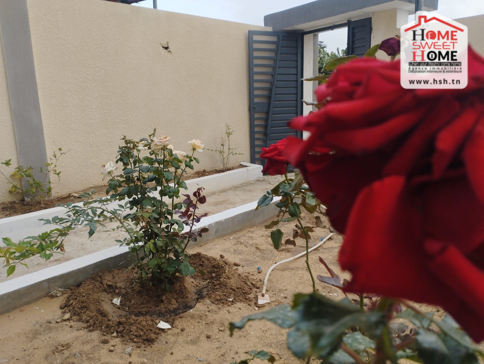 Vente Maisons - Tunisie