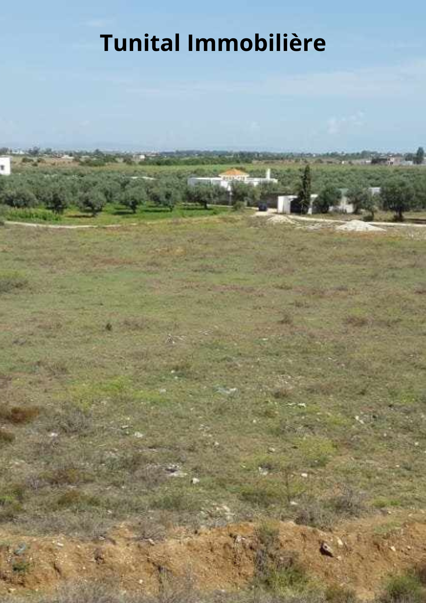 Sidi Thabet Cebalet Ben Ammar Vente Autre Route de bizerte sidi younes