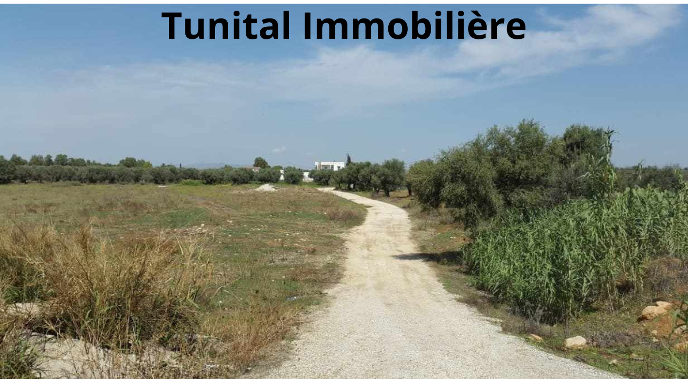 Sidi Thabet Cebalet Ben Ammar Vente Autre Route de bizerte sidi younes