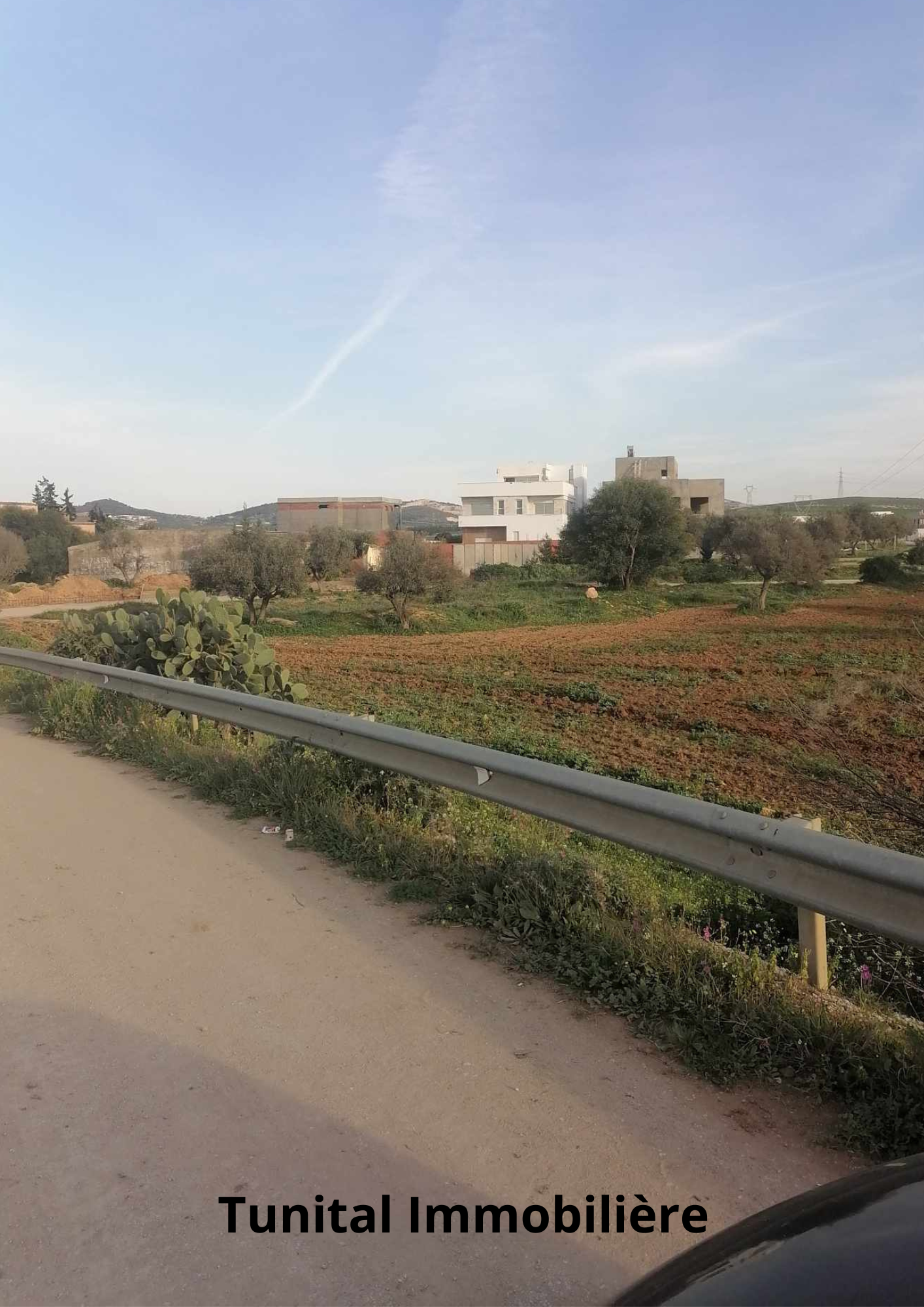 Sidi Thabet Cebalet Ben Ammar Vente Autre Route de bizerte sidi younes