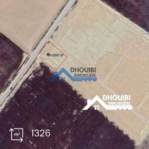 Vente Surfaces - Tunisie