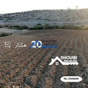 Vente Surfaces - Tunisie