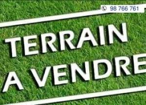 Vente Surfaces - Tunisie