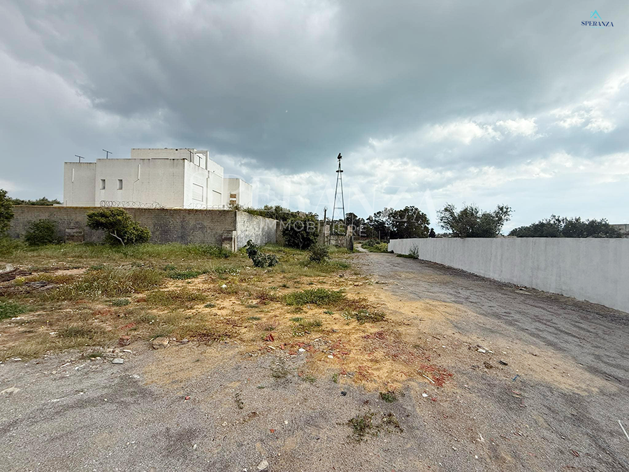 Vente Surfaces - Tunisie