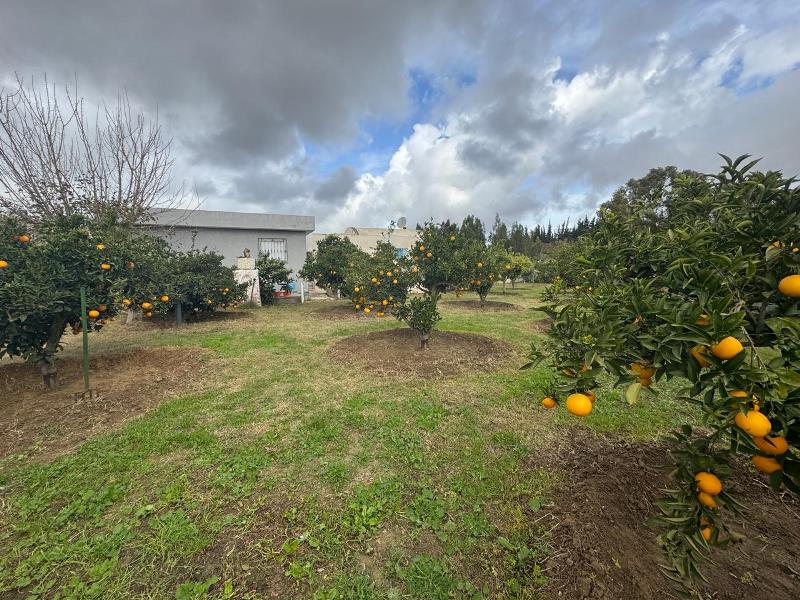 Hammamet Hammamet Vente Appart. 4 pices Maison gentiane rf v2886