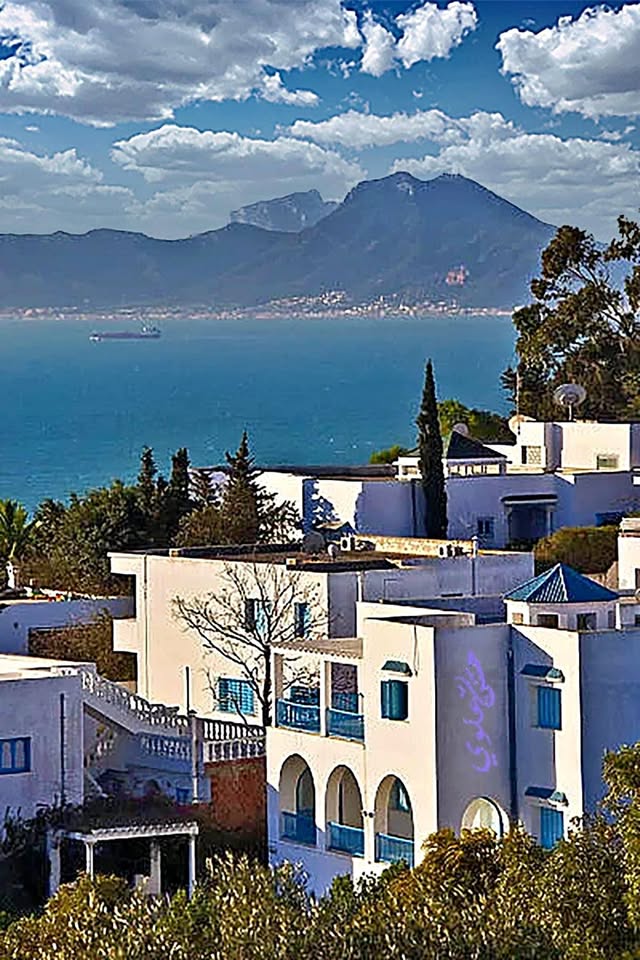 Vente Appart. 3 pices - Tunisie