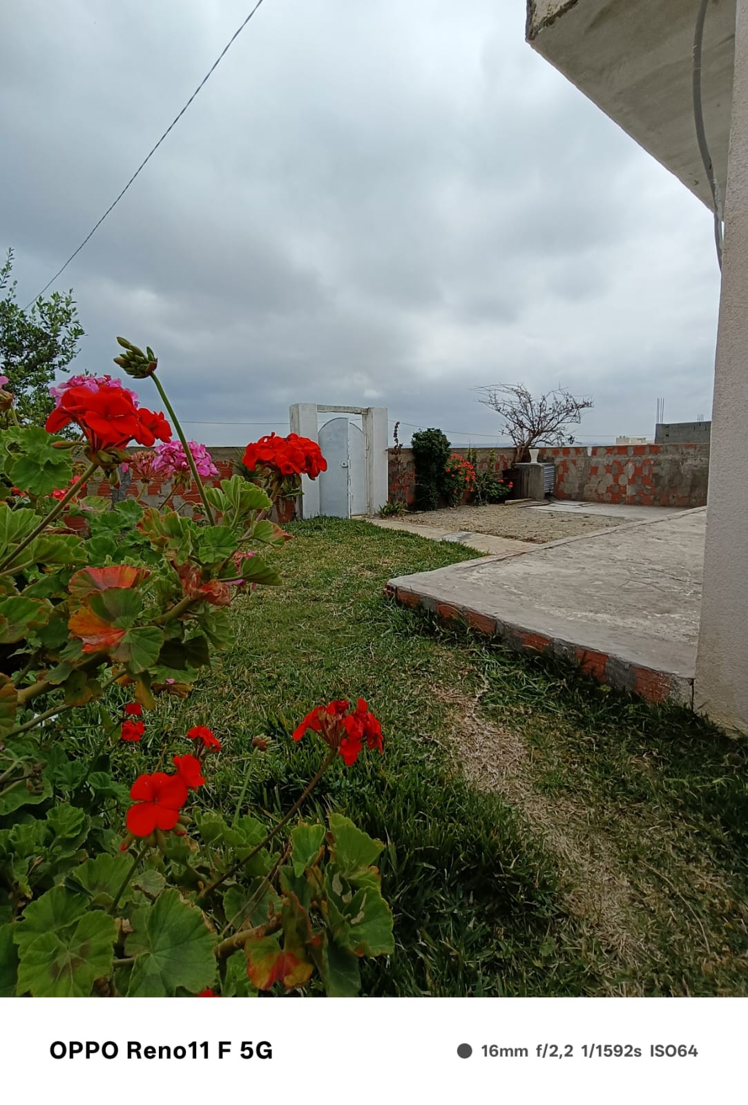 El Haouaria Cite Touristique Vente Appart. 2 pièces Une maison indépendante près de la plage