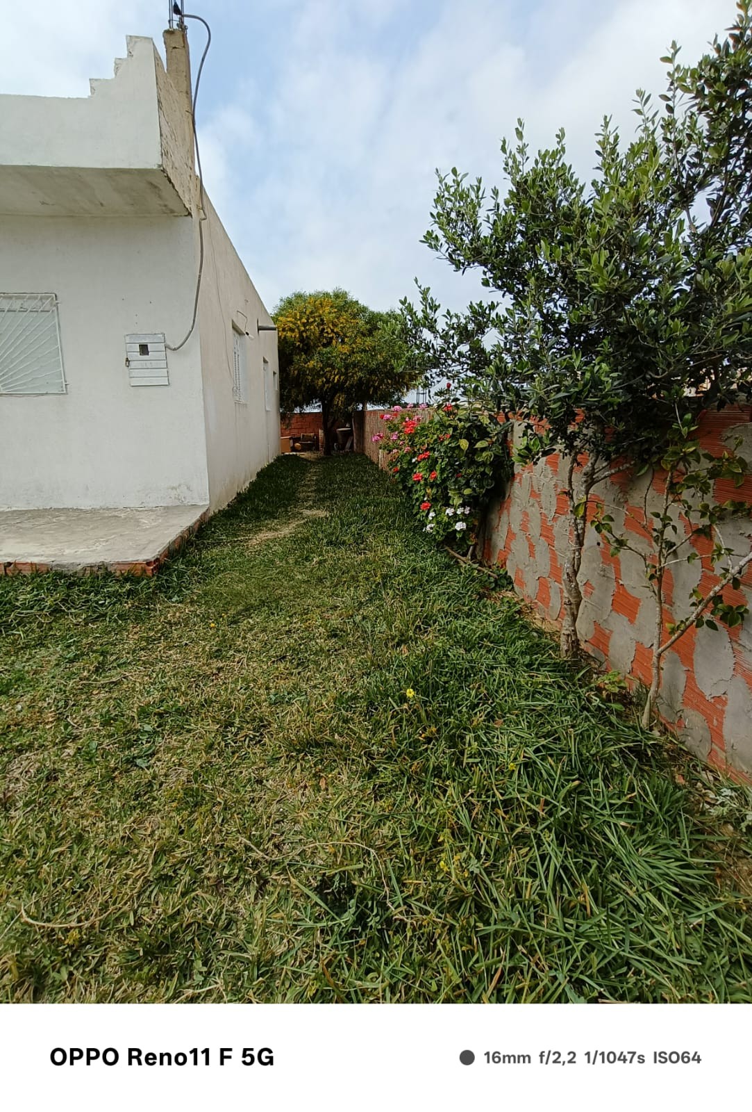 El Haouaria Cite Touristique Vente Appart. 2 pièces Une maison indépendante près de la plage