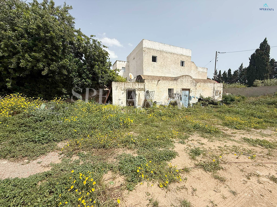 Vente Autre - Tunisie
