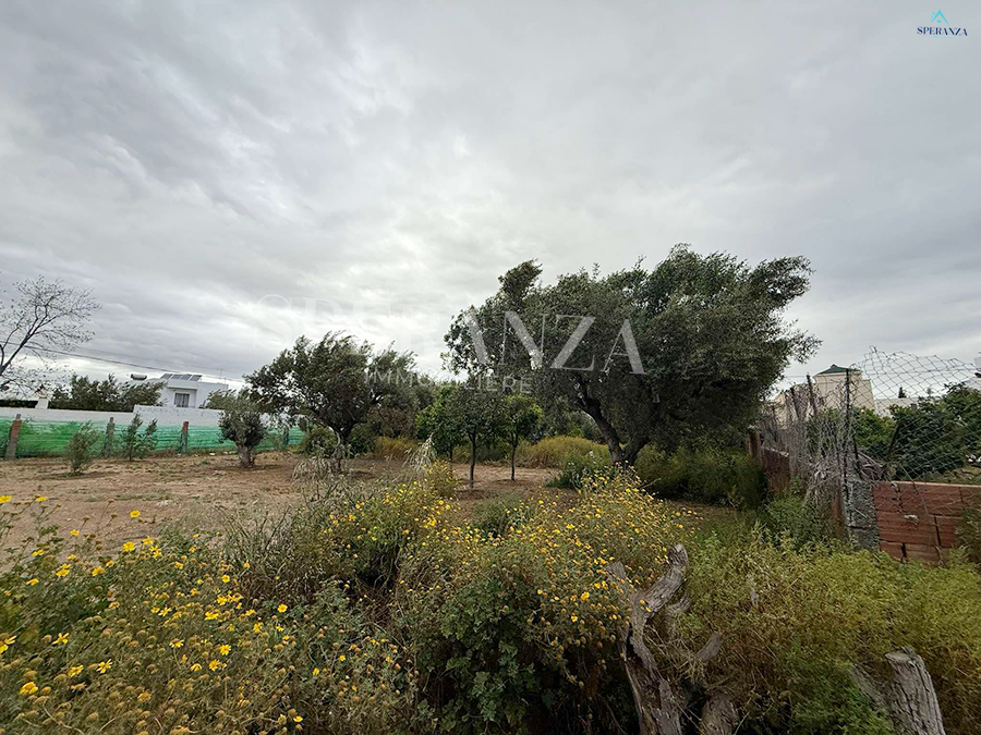 Hammamet Hammamet Vente Autre Terrain julia