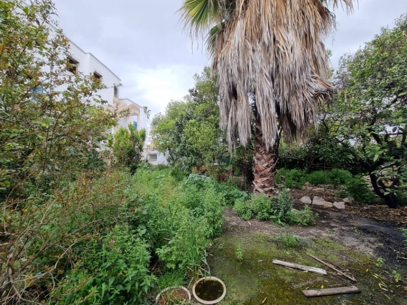 Vente Maisons - Tunisie