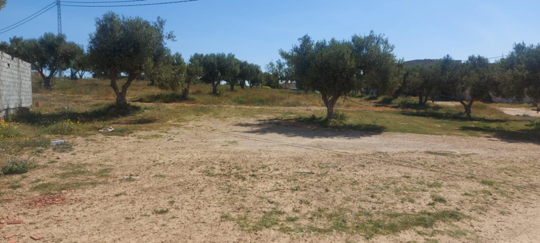 Soliman Soliman Vente Surfaces Lot de terrain 230m2  soliman
