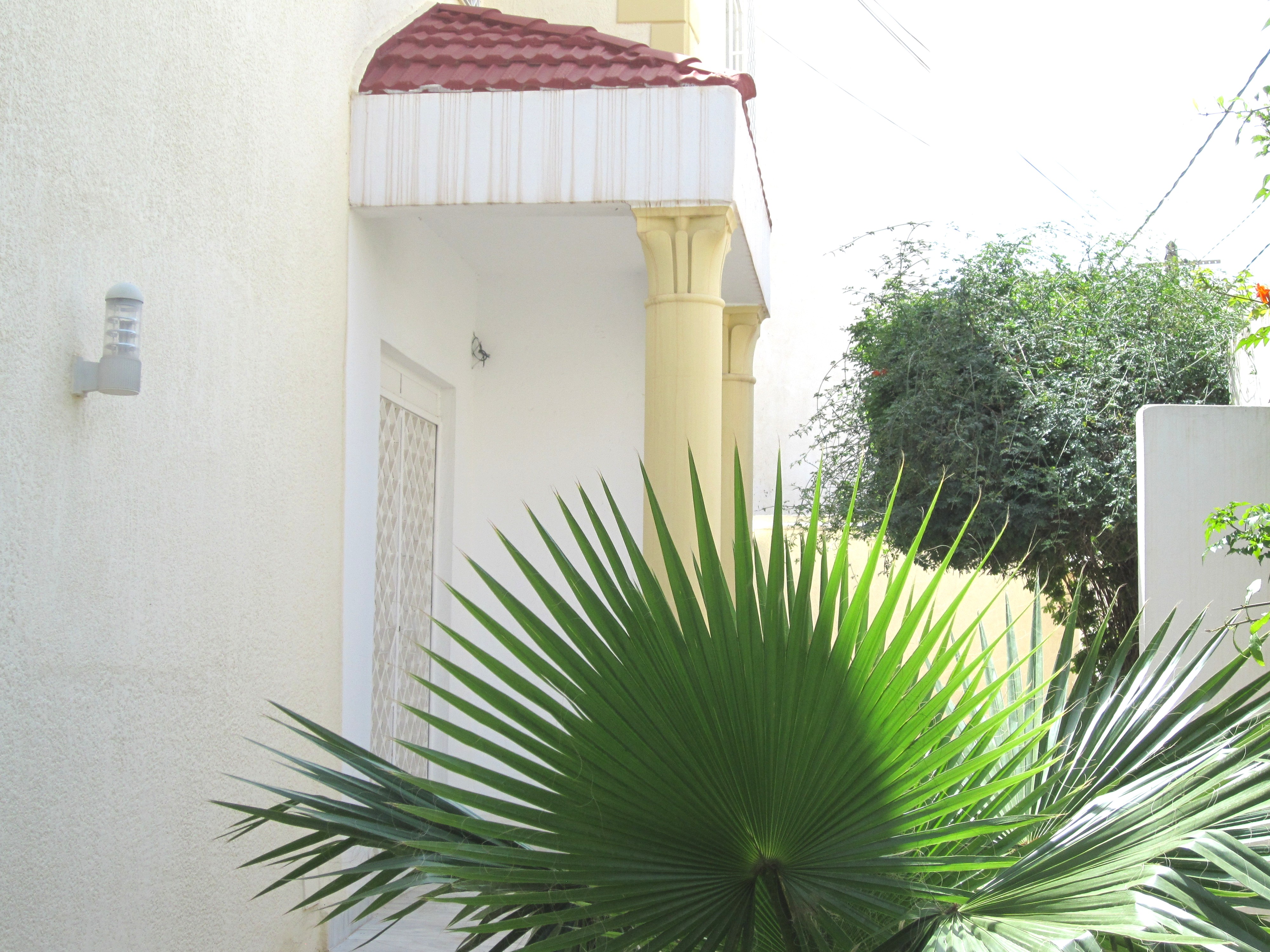 Raoued Cite El Ghazala 1 Vente Maisons Villa moderne de style amricain