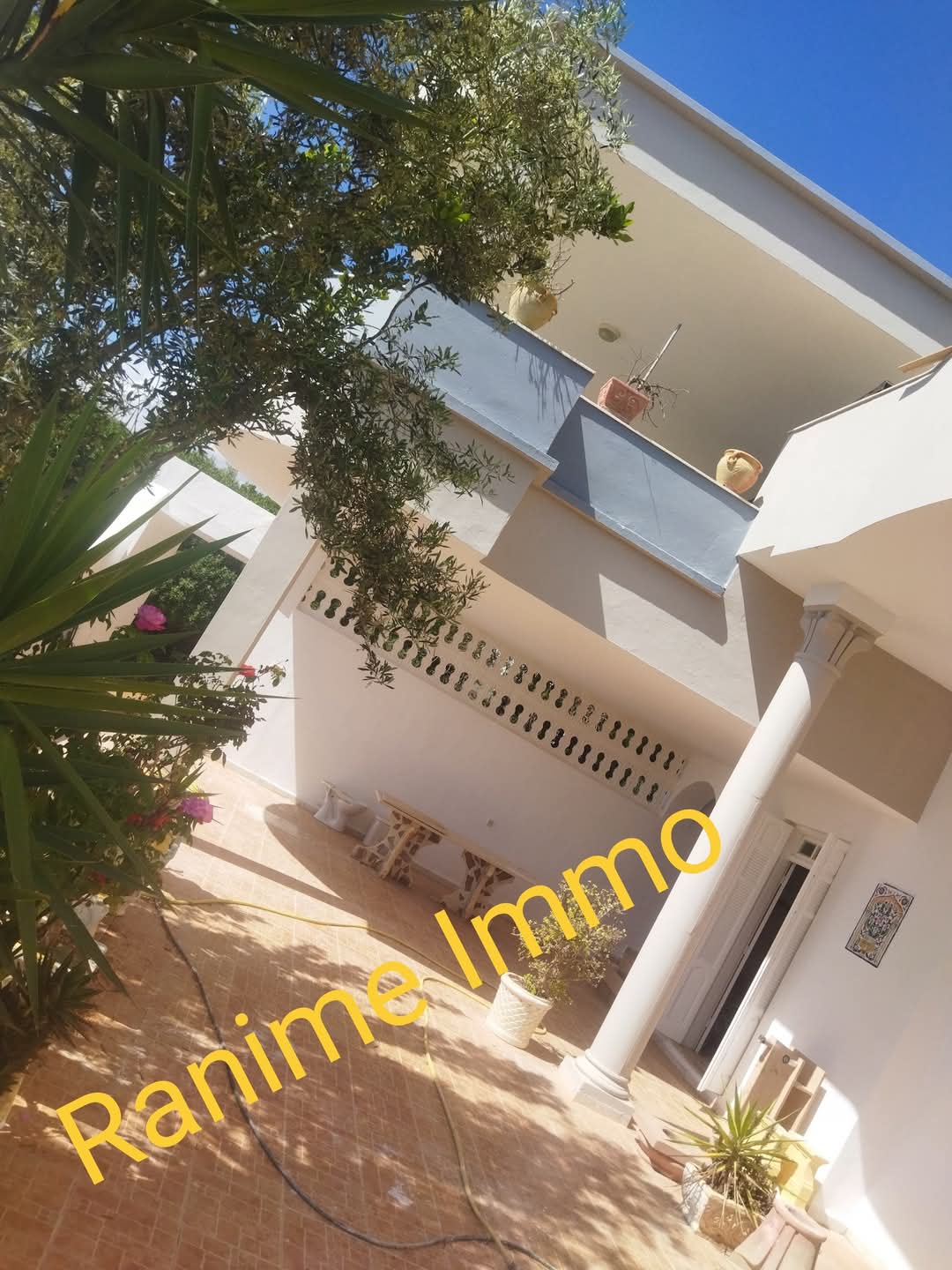 El Haouaria Cite Touristique Vente Maisons Villa haute standing a la plage de 350m2