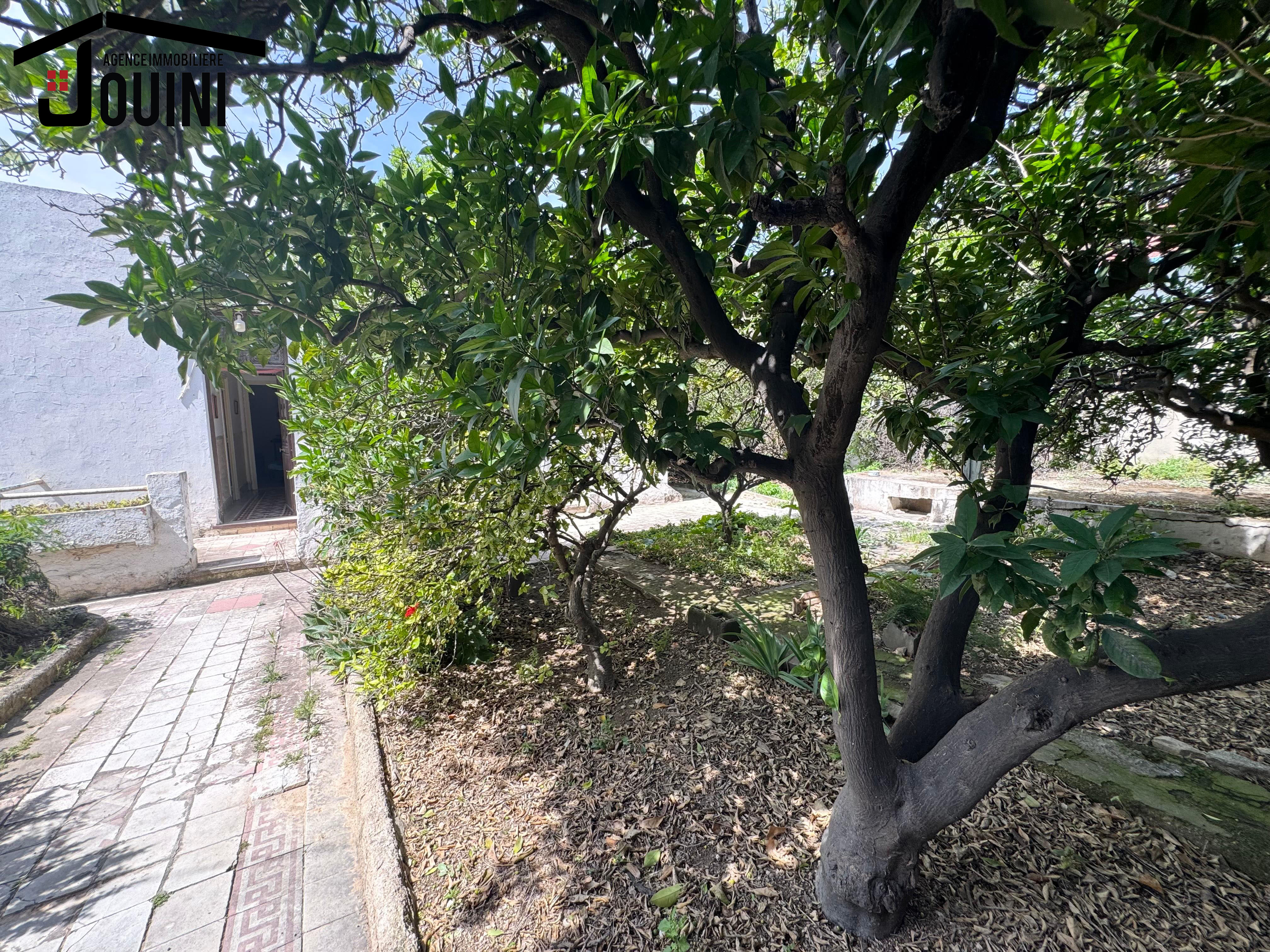 El Ouerdia Bellevue Vente Appart. 4 pices Maison 450 m2  bellevue tunis