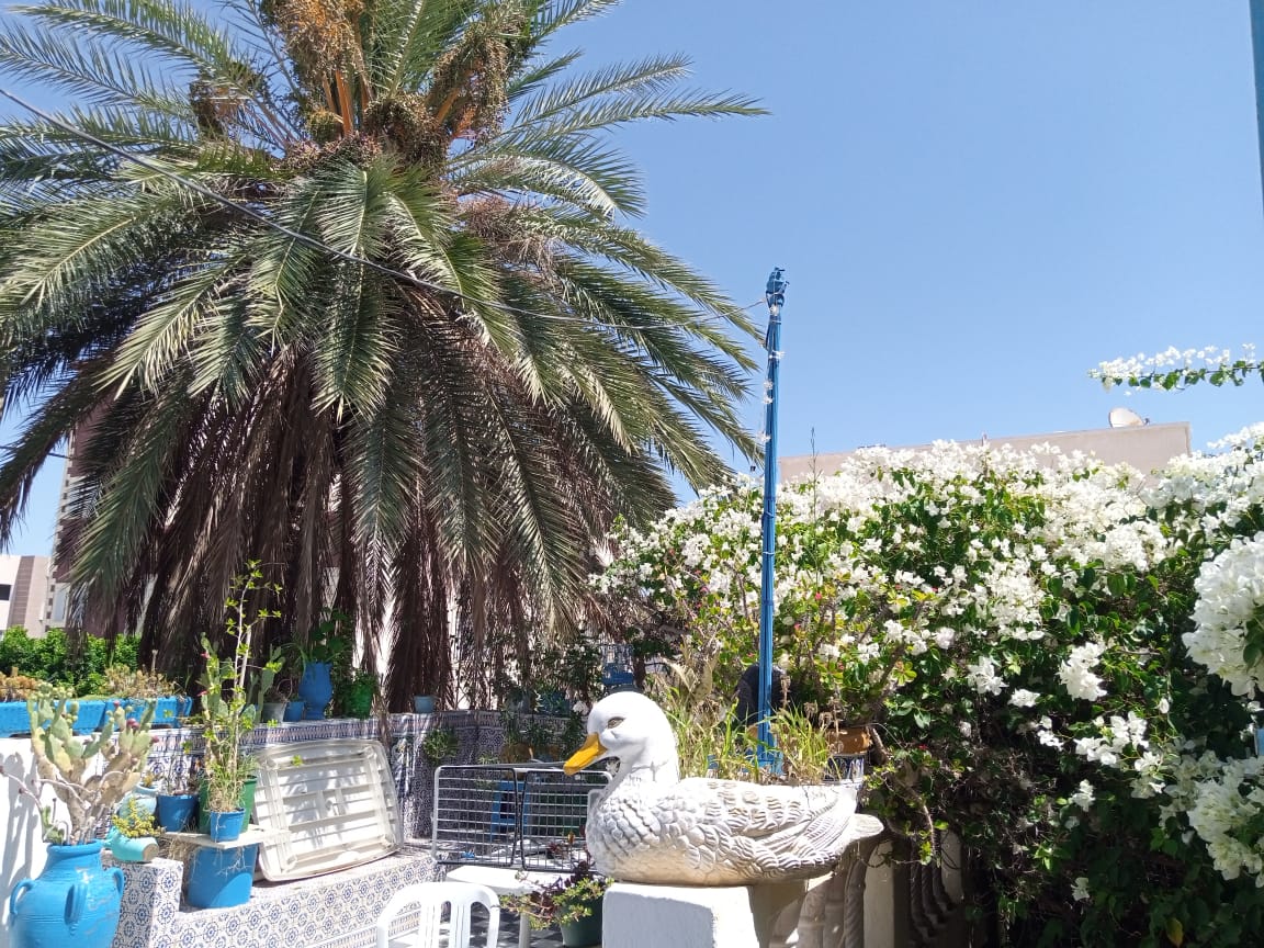 Raoued Cite Ennkhilet Vente Maisons Villa spacieuse  deux niveaux  nkhilette ariana