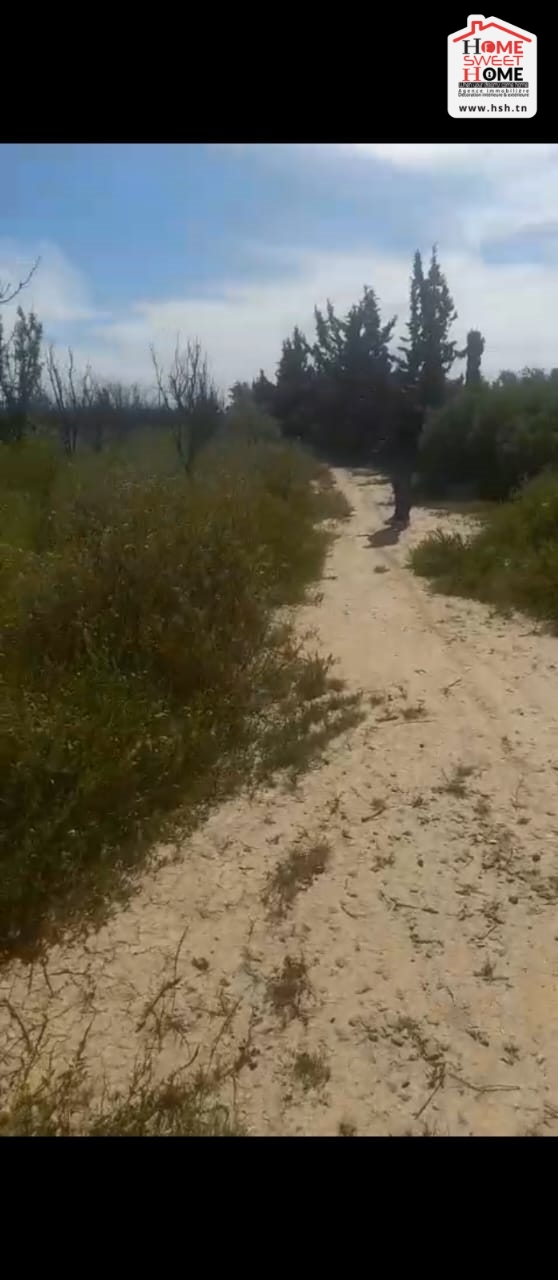 Vente Surfaces - Tunisie