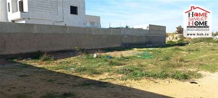 Vente Surfaces - Tunisie