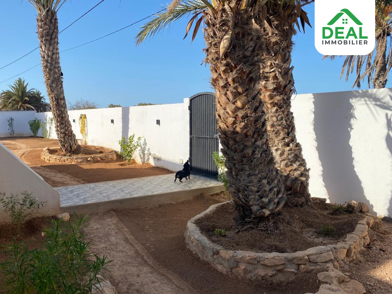 Djerba - Midoun Midoun Vente Maisons Villa de rve  djerba