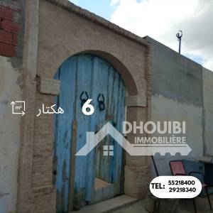 Vente Appart. 1 pice - Tunisie