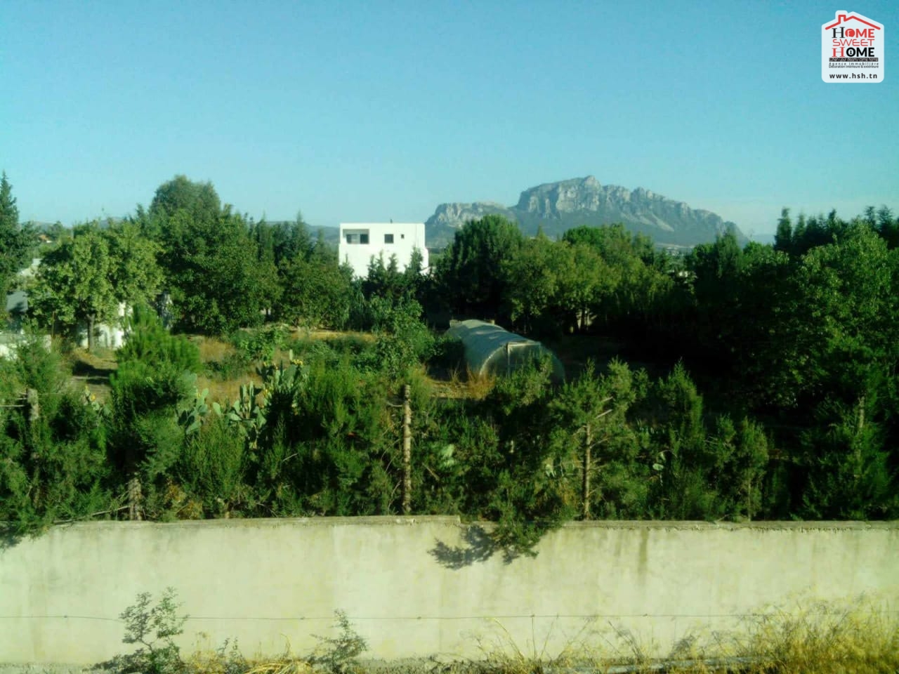 Vente Surfaces - Tunisie