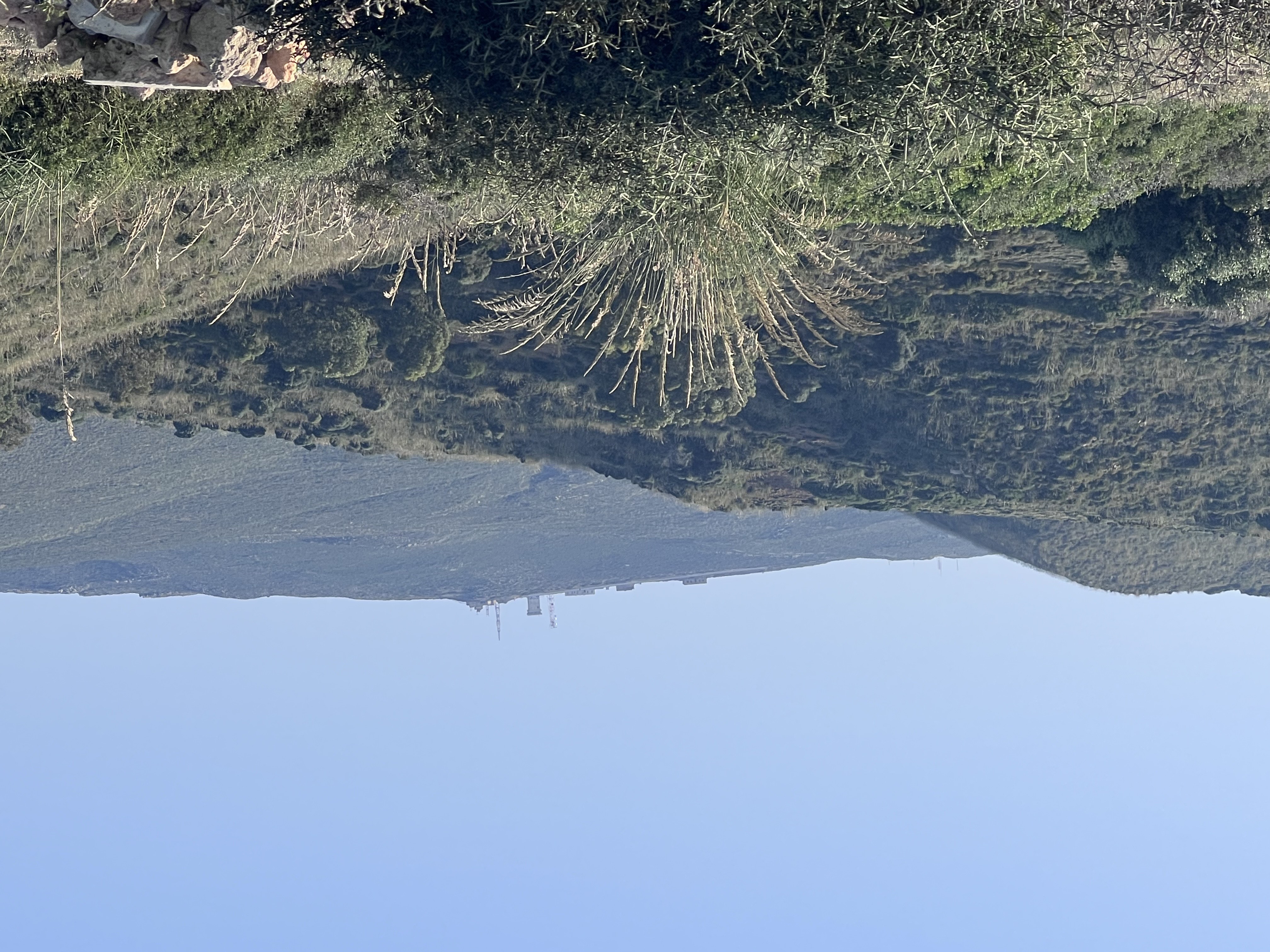El Haouaria El Haouaria Vente Surfaces Terrain idal  deux pas de la mer el haouaria