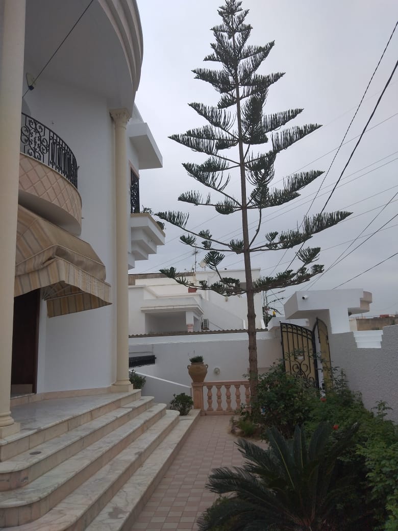 Raoued Ariana Essoughra Vente Maisons Villa haut standing  3 niveaux