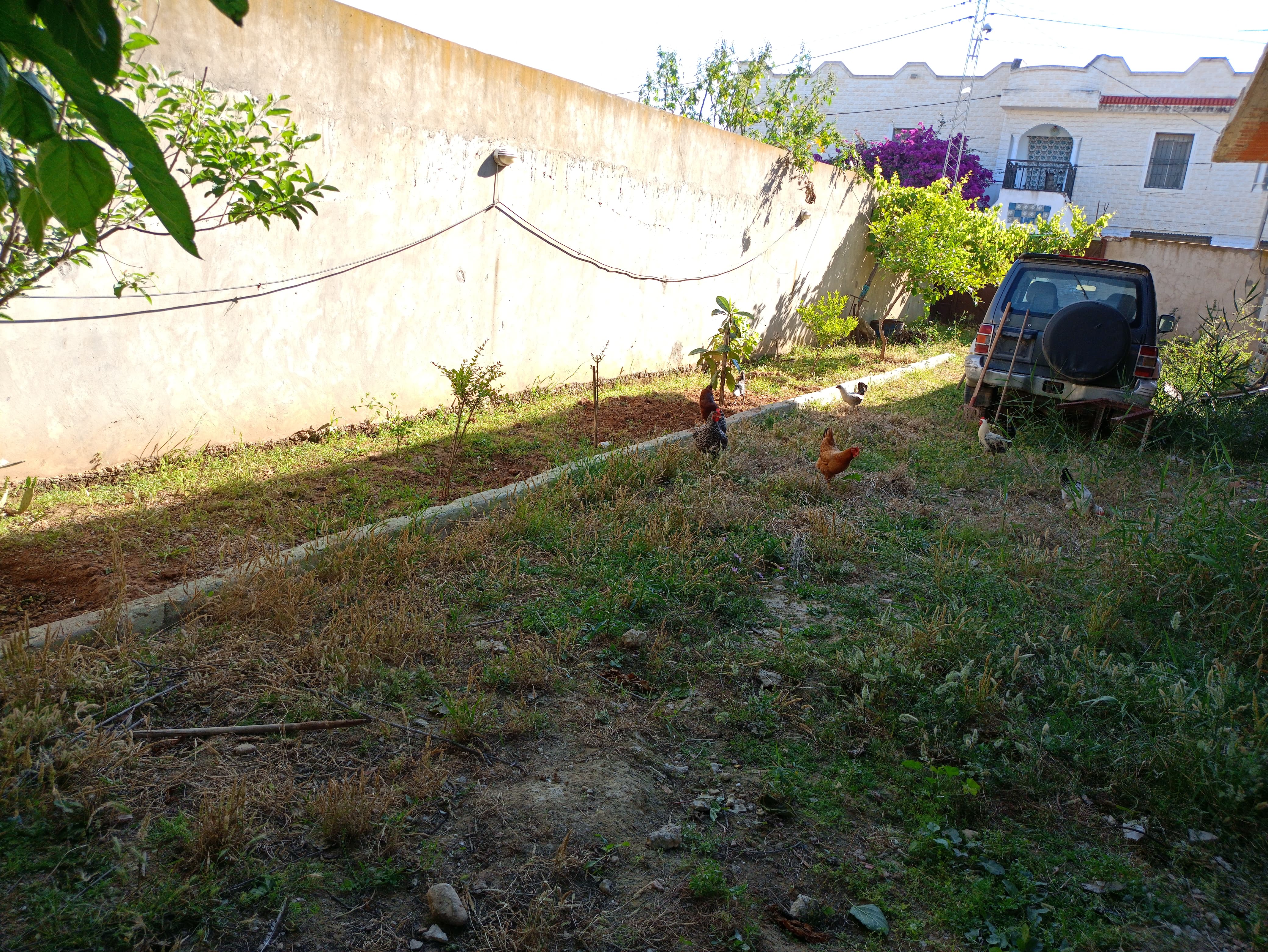 Raoued Borj Touil Vente Maisons Villa en construction  borj touil