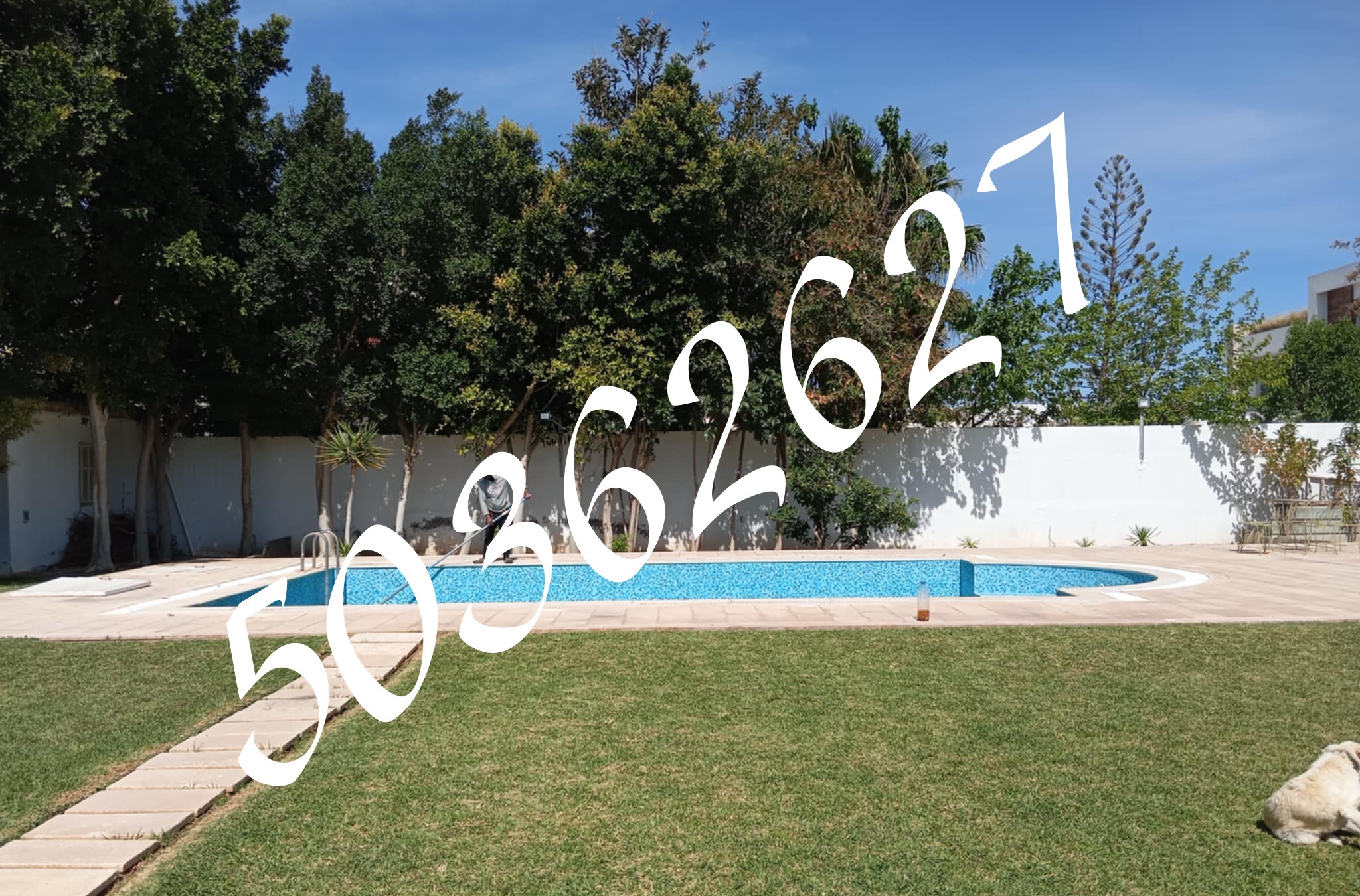 Vente Maisons - Tunisie