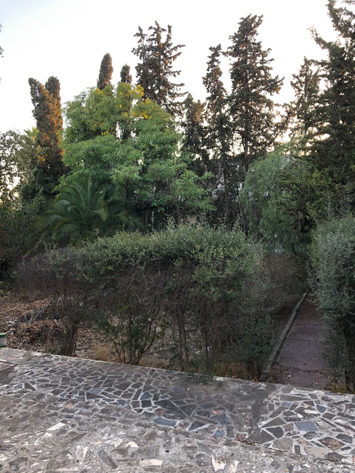 Vente Maisons - Tunisie