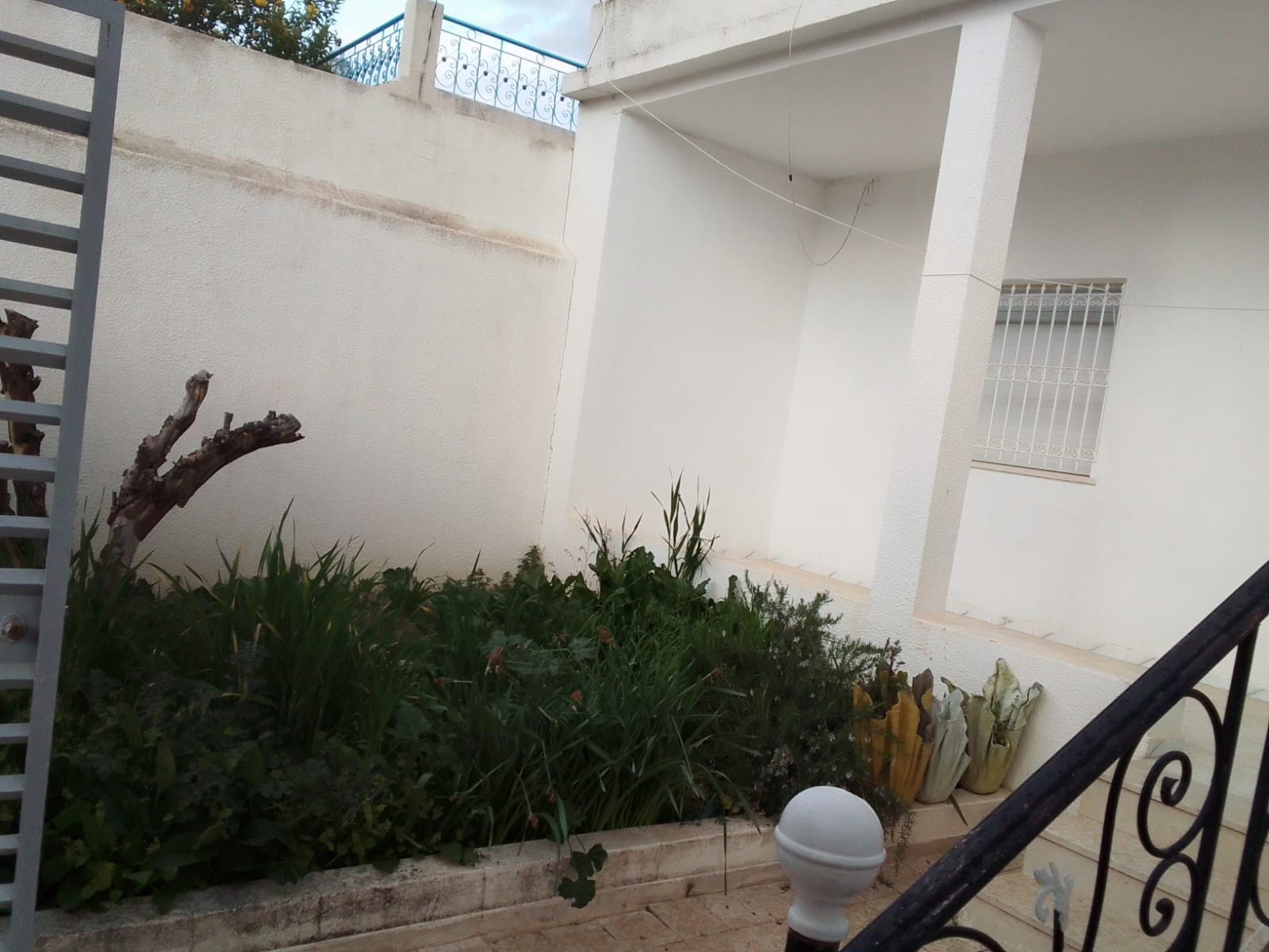 Vente Maisons - Tunisie