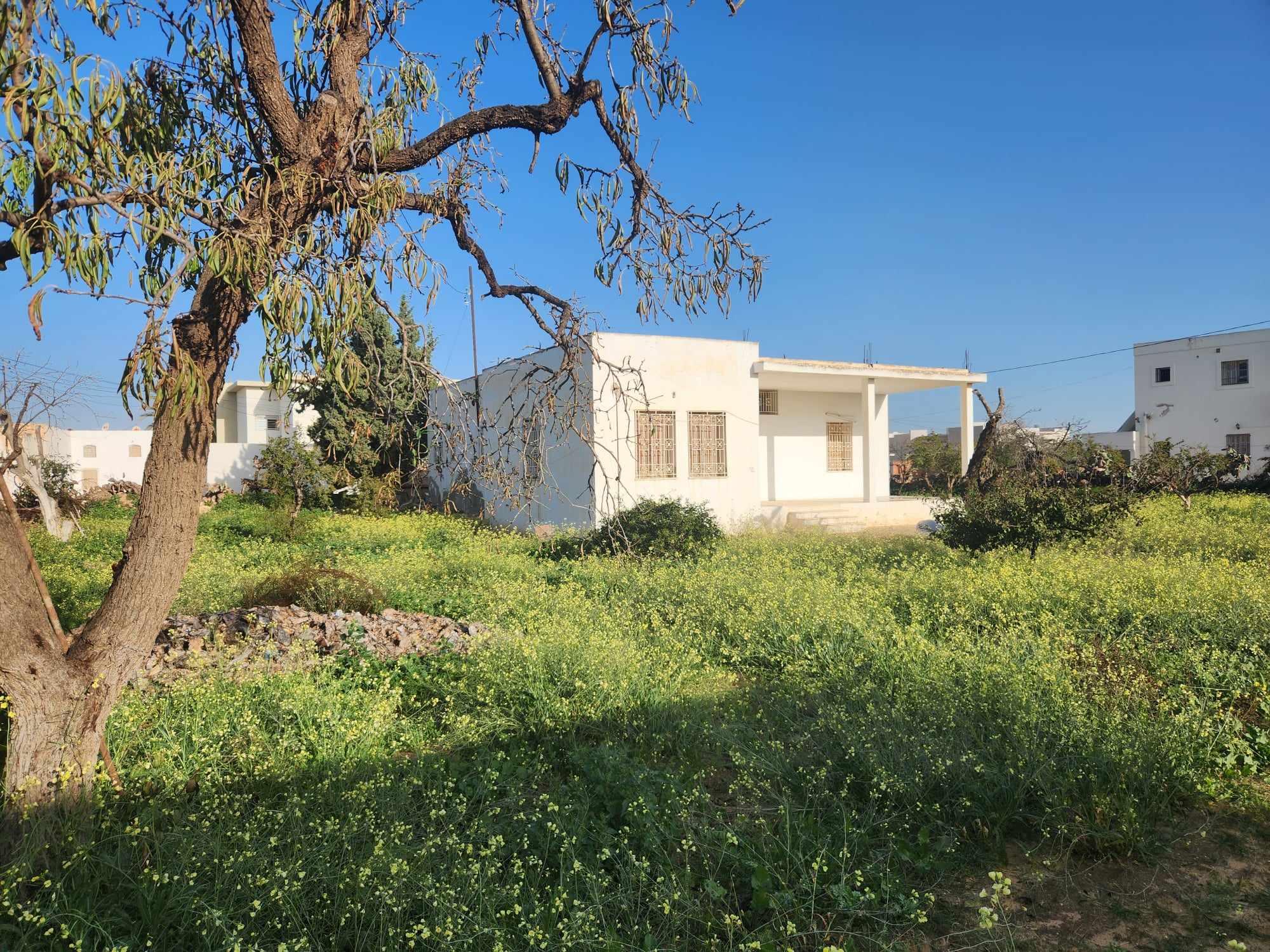 Sfax Est&nbsp;Merkez Chaker&nbsp;Vente&nbsp;Maisons&nbsp;Sfax menzel chaker vnt maison 1135m2