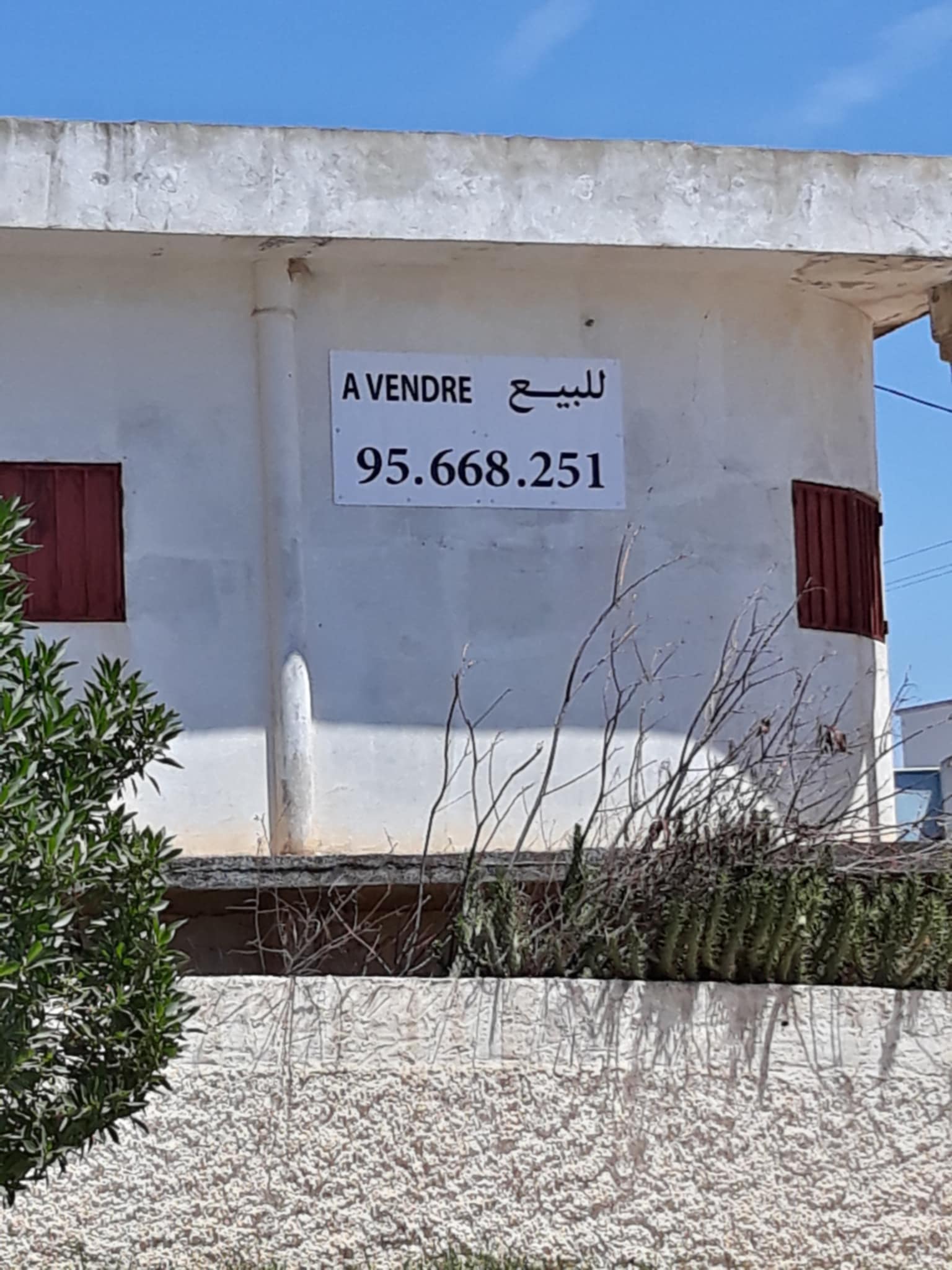 Vente Surfaces - Tunisie