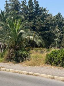 Vente Surfaces - Tunisie