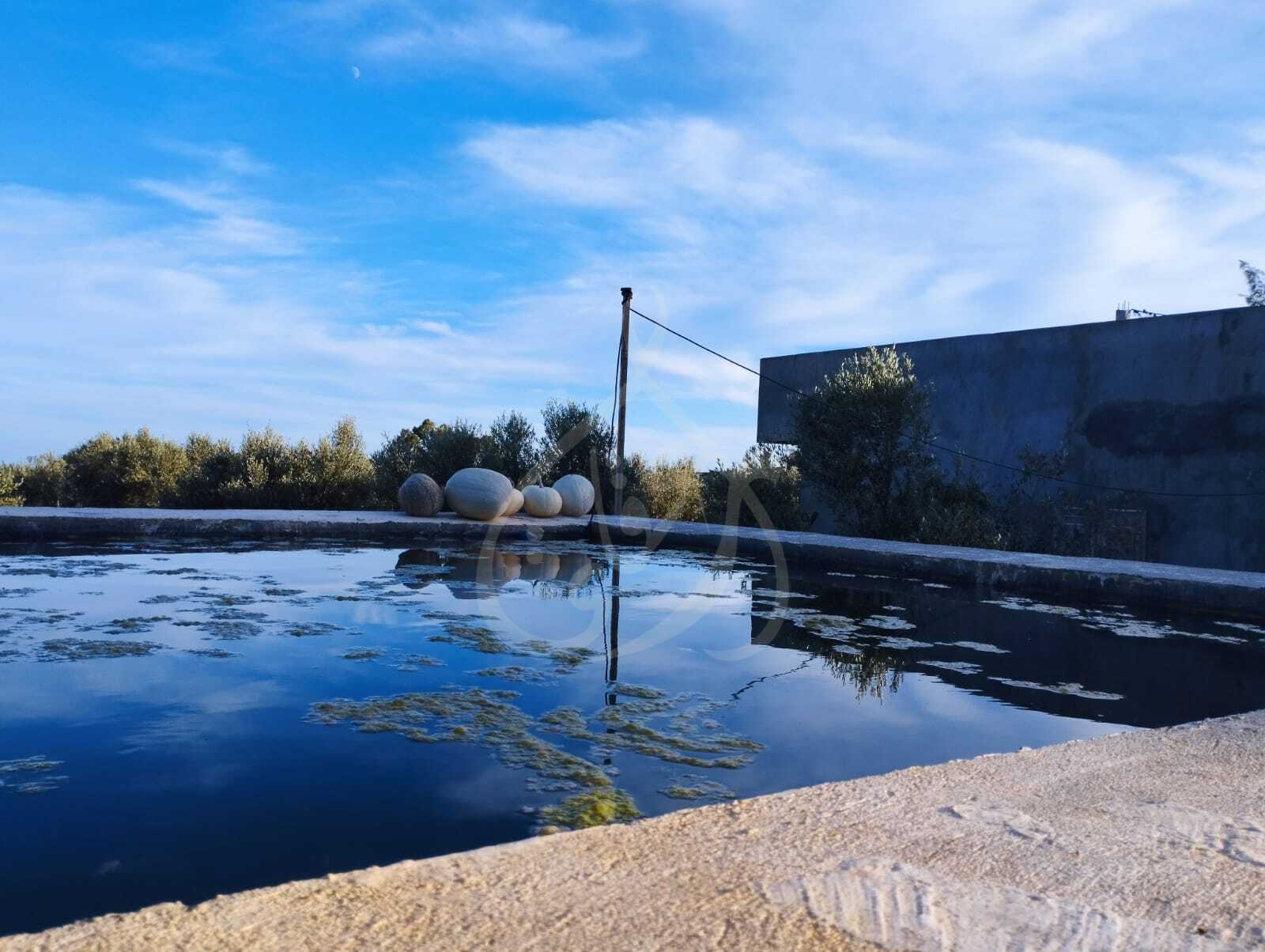 Beni Khiar Ghardaya Vente Autre Ferme  ghardeya bni khiar