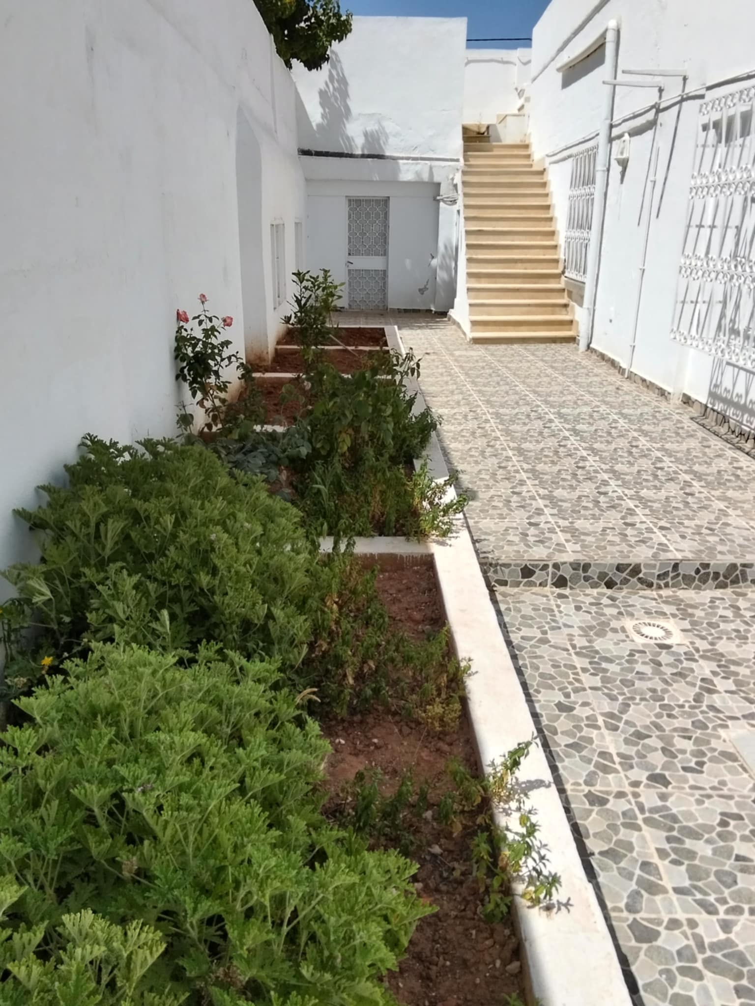 Ben Arous Ben Arous Vente Maisons Villa spacieuse