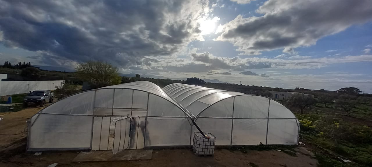 Soliman El Marja Vente Autre Projet agricole sur un terrain d'1 hectare