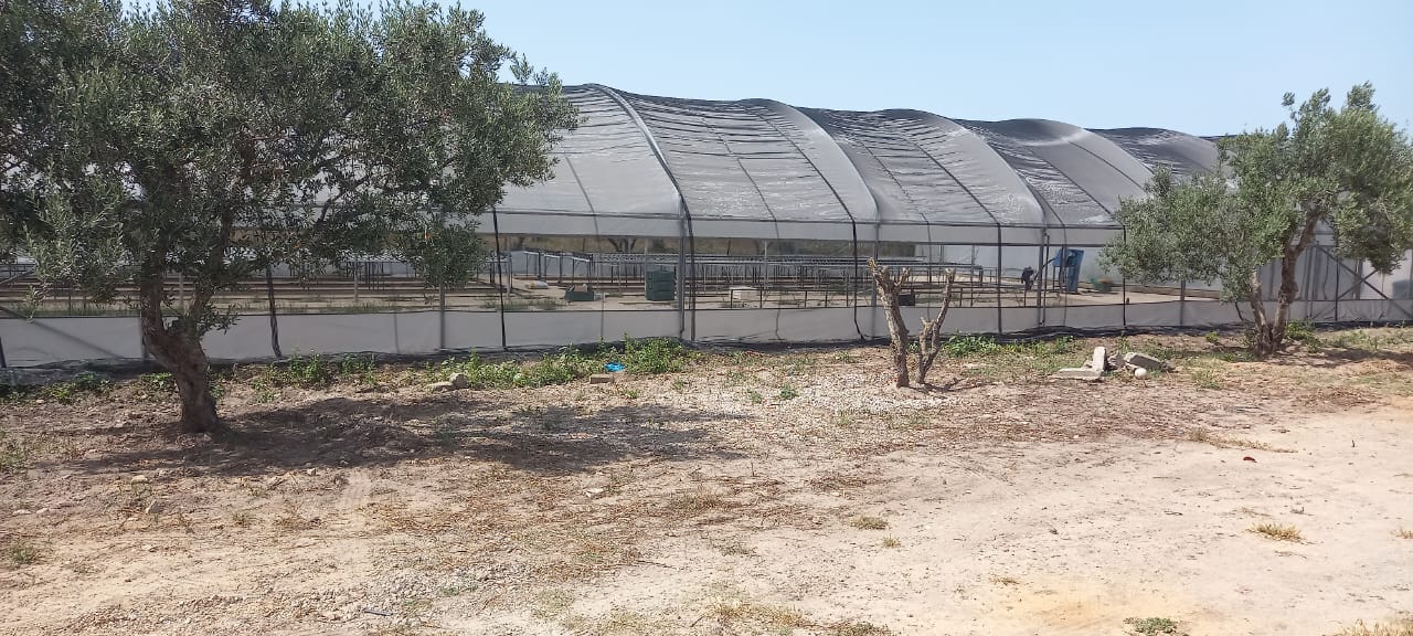 Soliman El Marja Vente Autre Projet agricole sur un terrain d'1 hectare